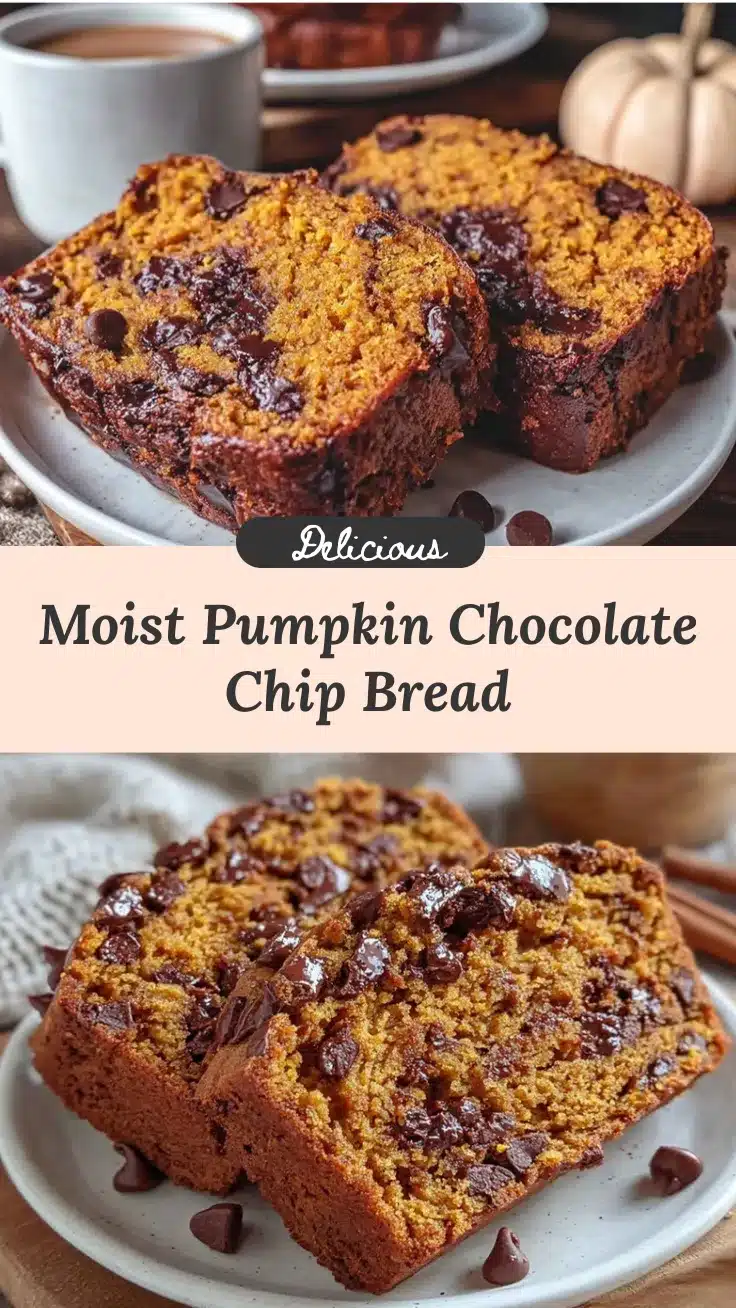 pumpkin chocolate chip bread recipe