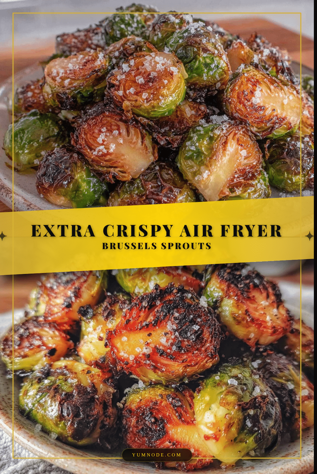 crispy air fryer brussels sprouts recipe