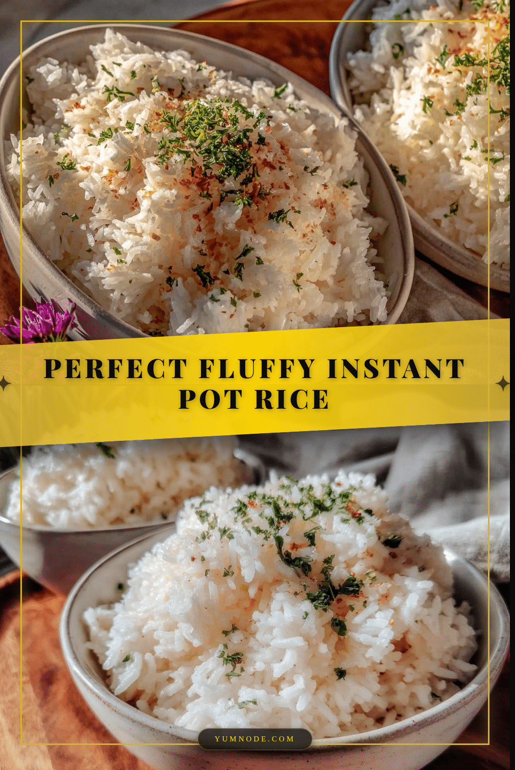 fluffy instant pot rice recipe recipe