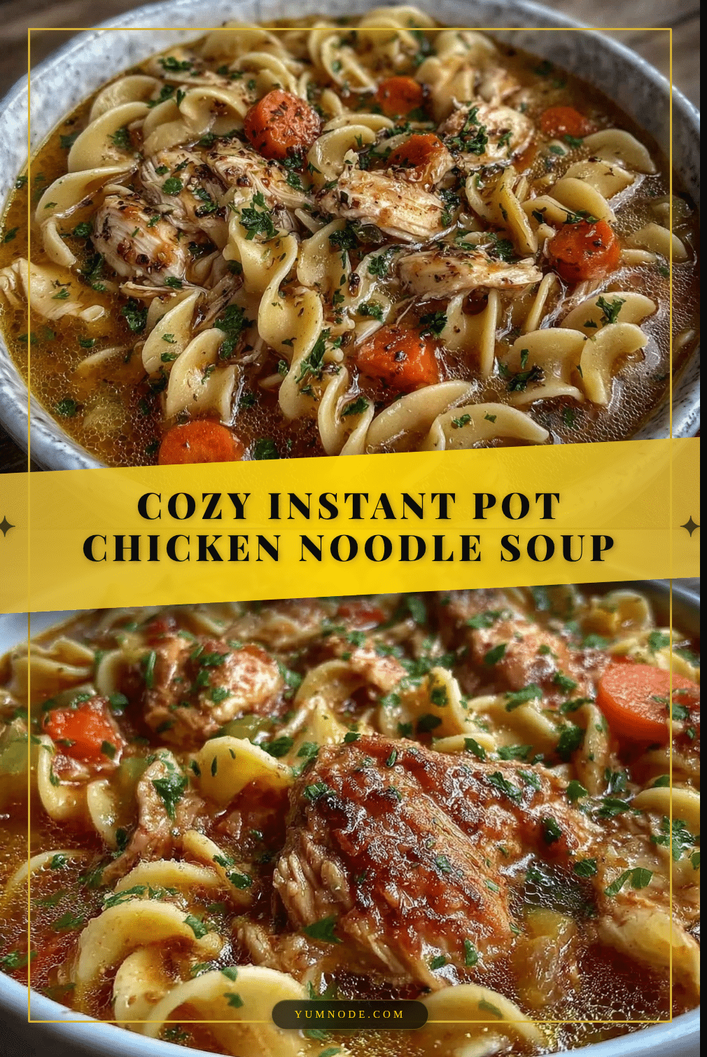 instant pot chicken noodle soup recipe