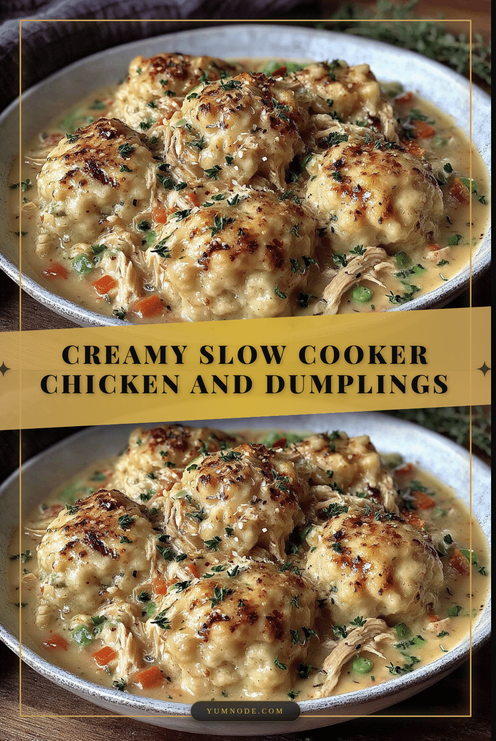slow cooker chicken and dumplings recipe