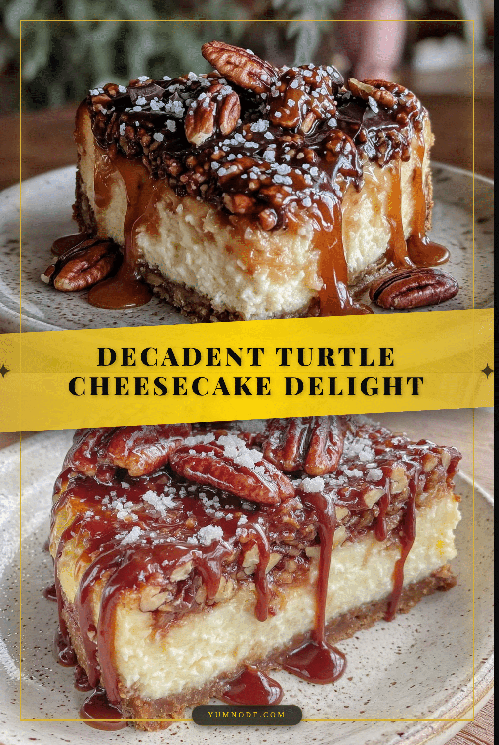 turtle cheesecake recipe recipe