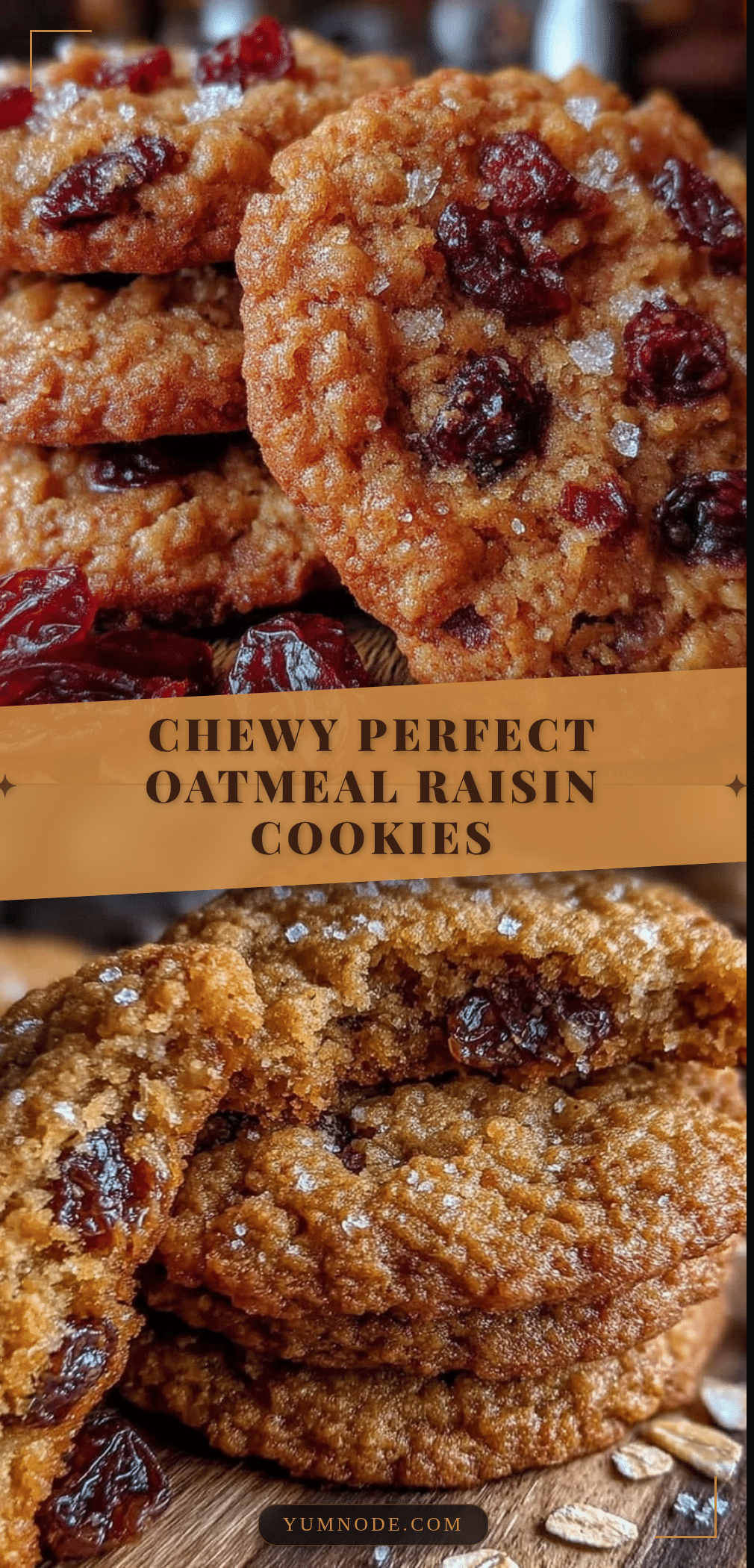 chewy oatmeal raisin cookies recipe