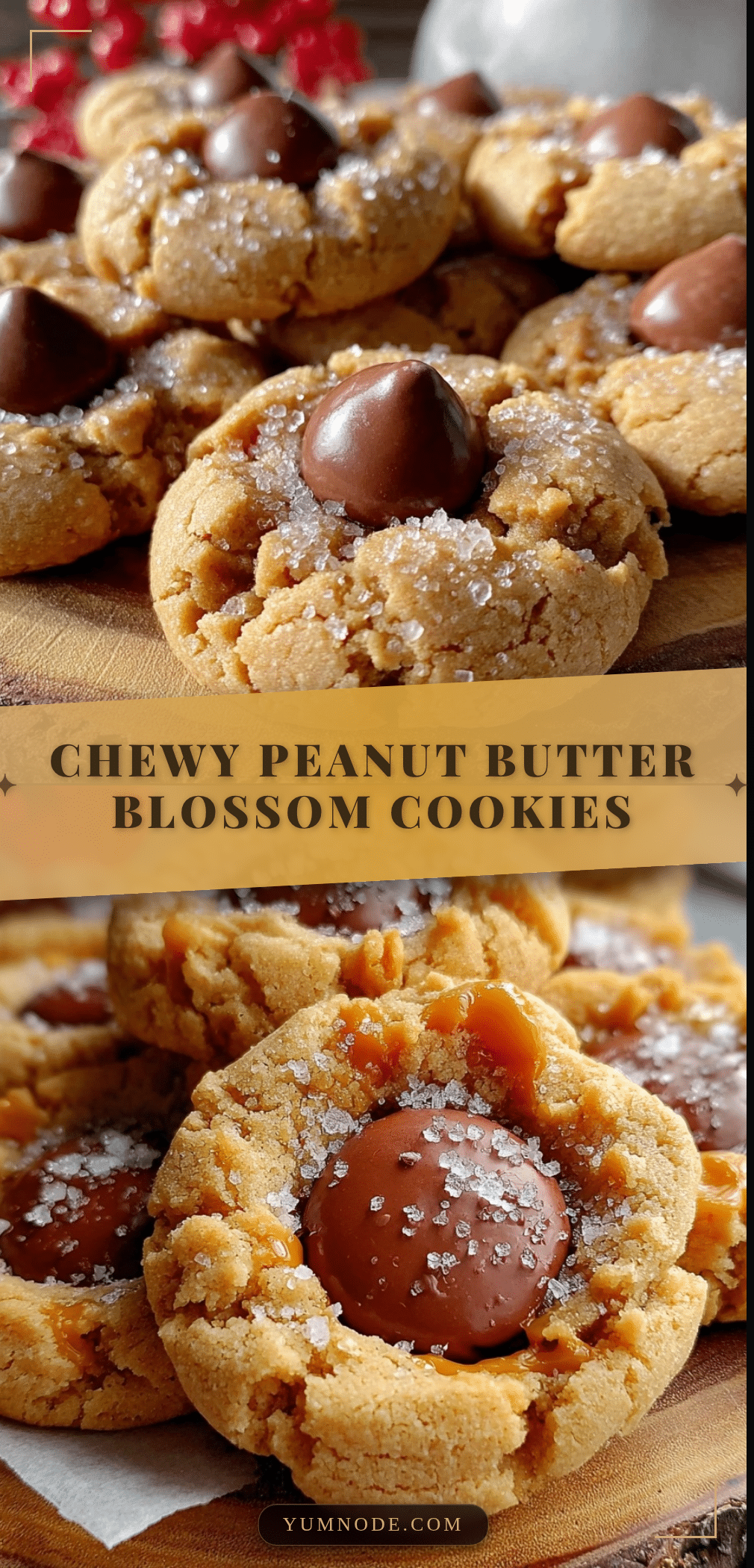 chewy peanut butter blossom cookies recipe