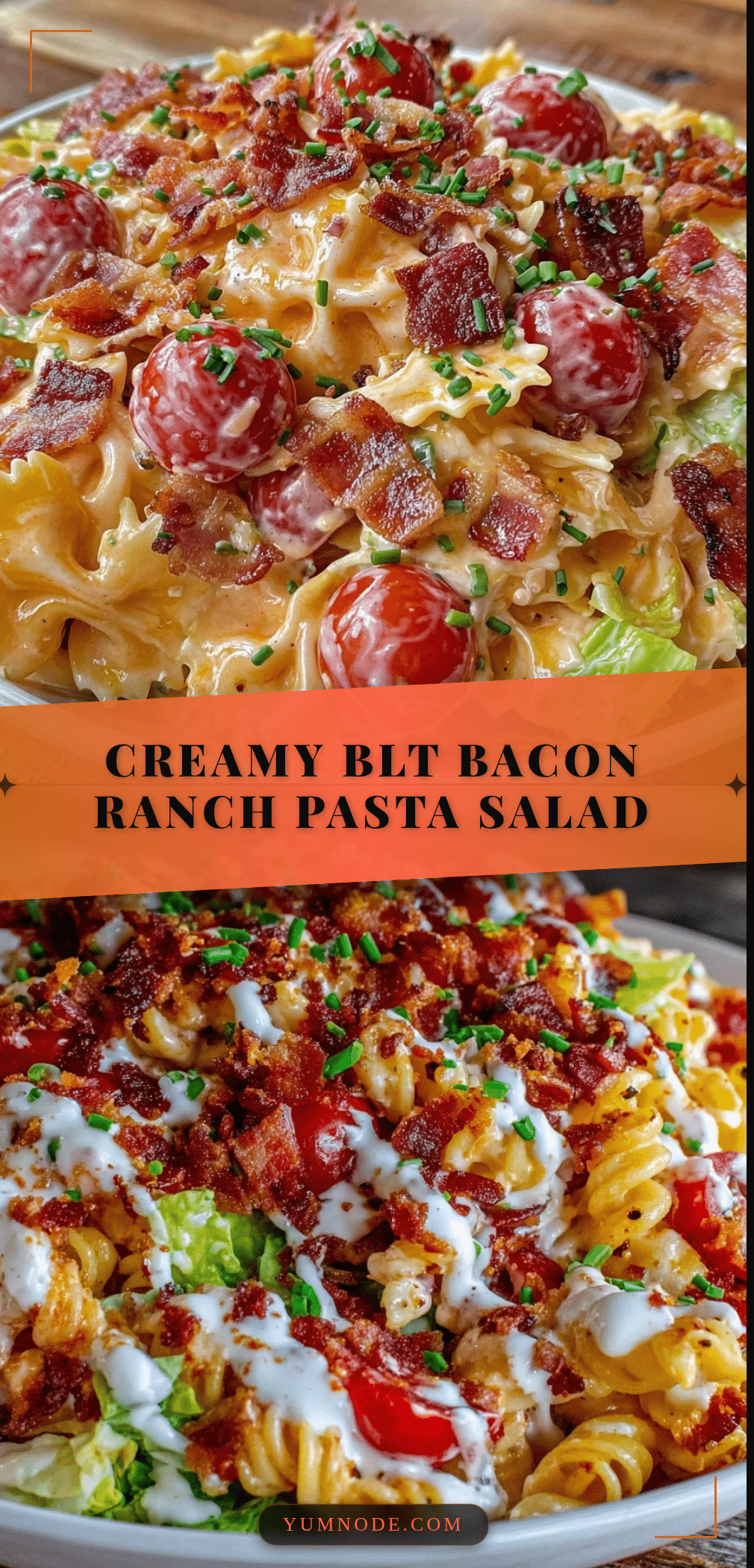 creamy blt bacon ranch pasta salad recipe