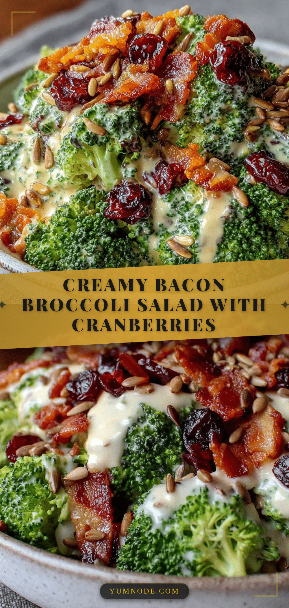 creamy broccoli salad recipe