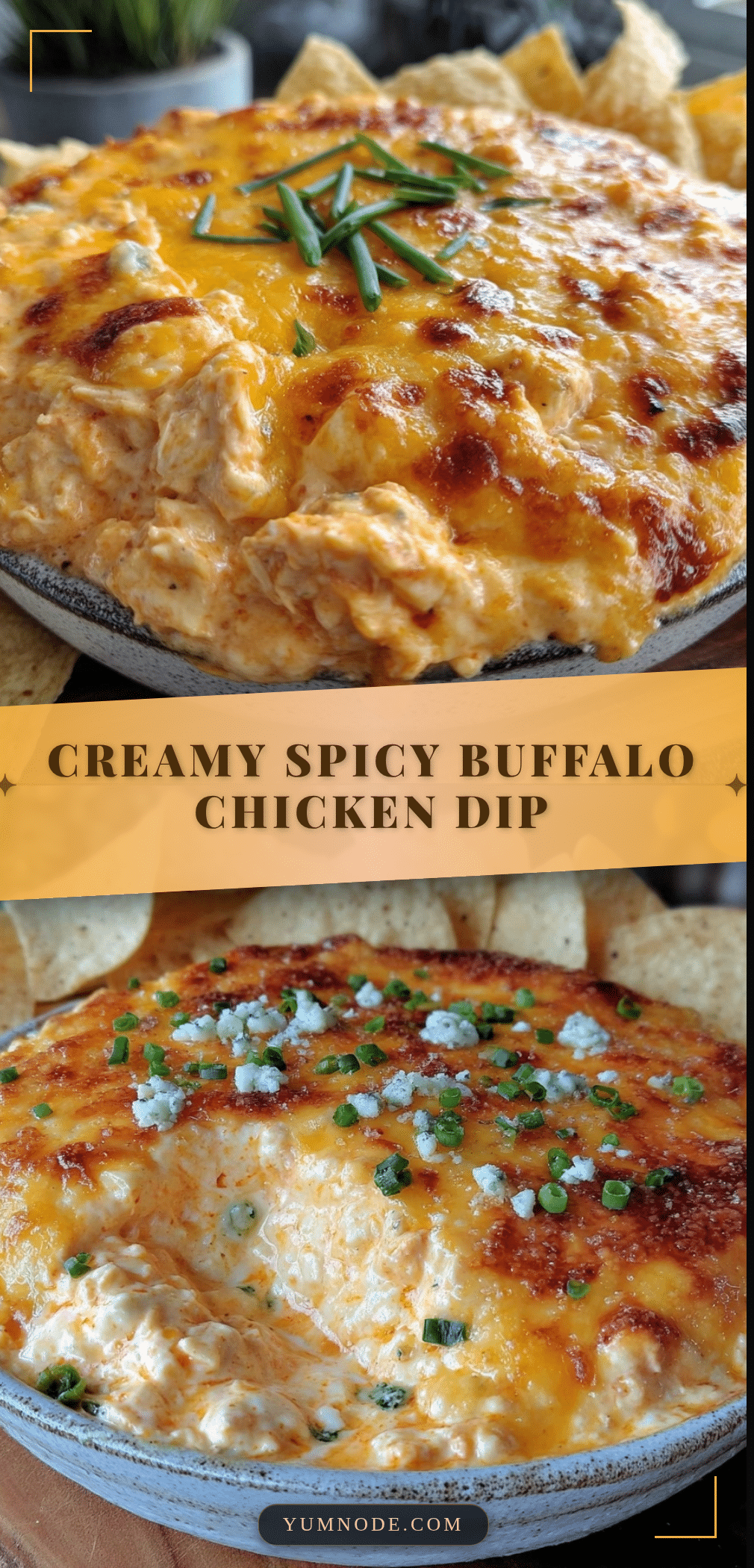 creamy buffalo chicken dip recipe
