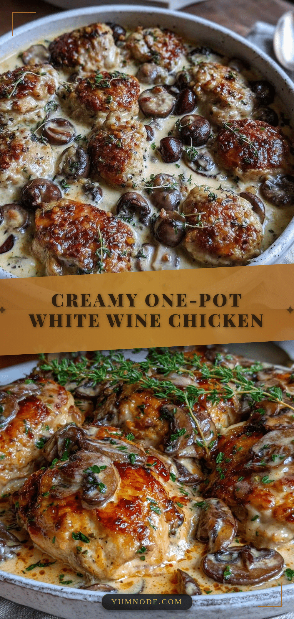 creamy one-pot white wine chicken recipe
