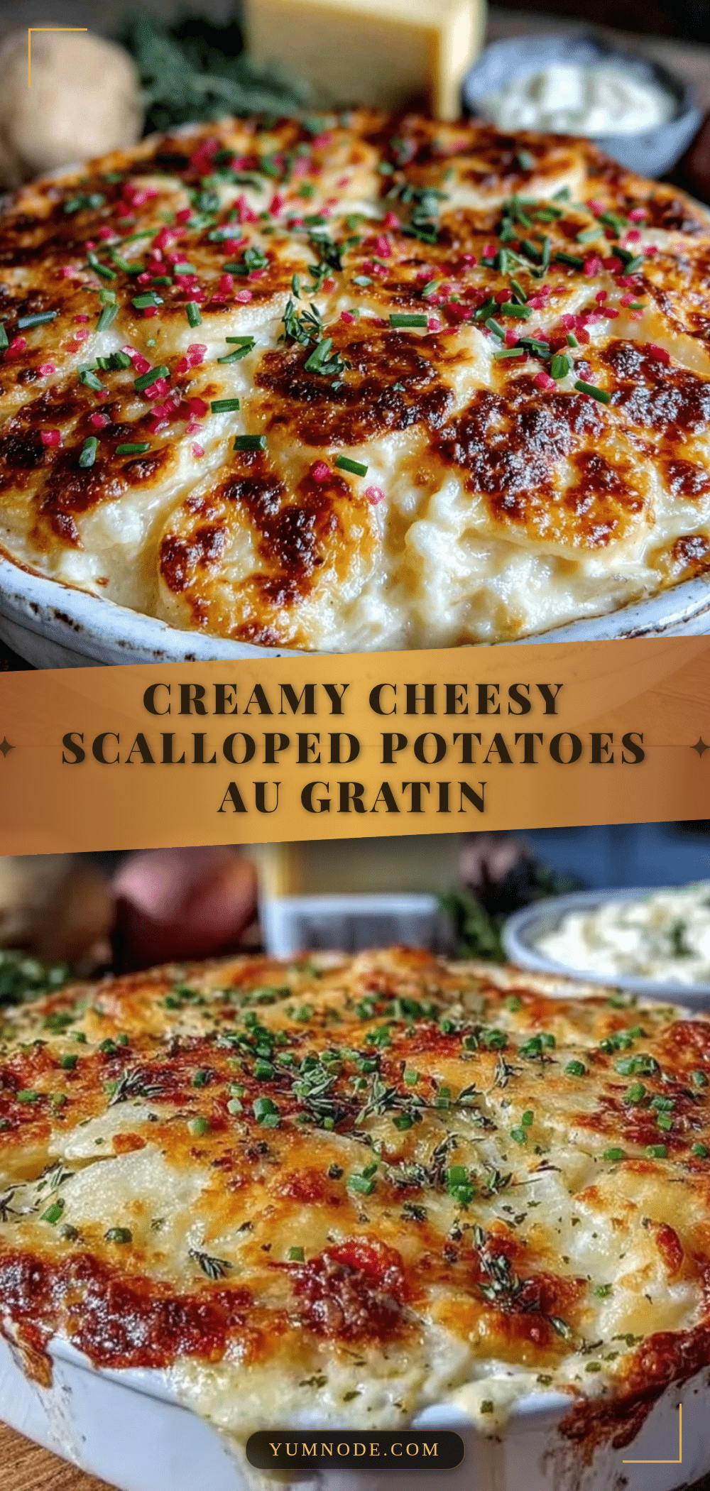 creamy scalloped potatoes au gratin recipe