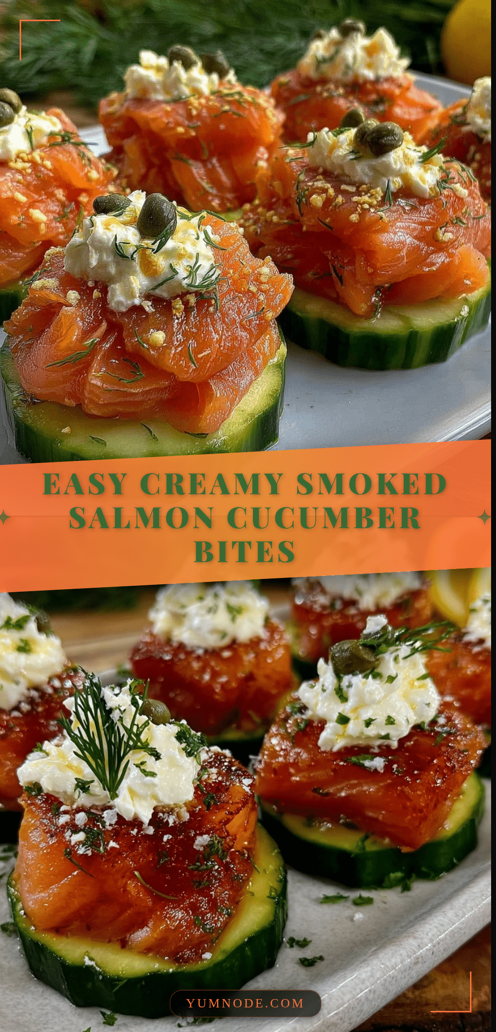 creamy smoked salmon cucumber bites recipe