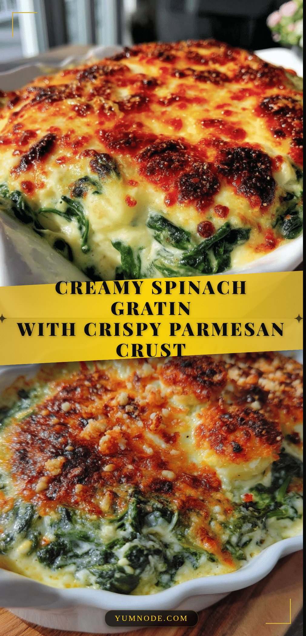 creamy spinach gratin recipe