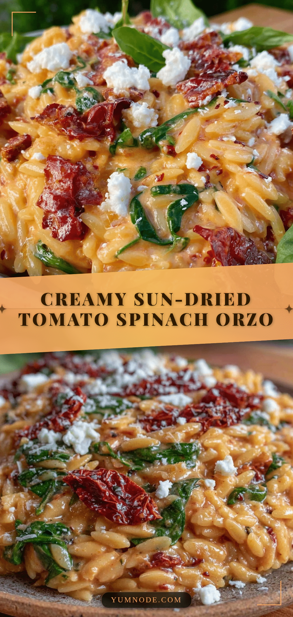 creamy sun-dried tomato and spinach orzo recipe