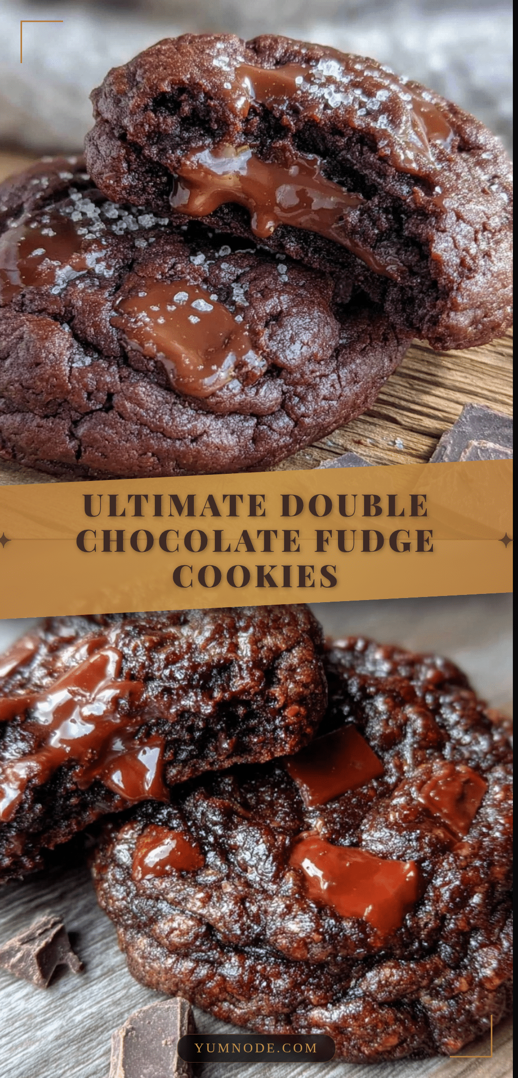 double chocolate fudge cookies recipe