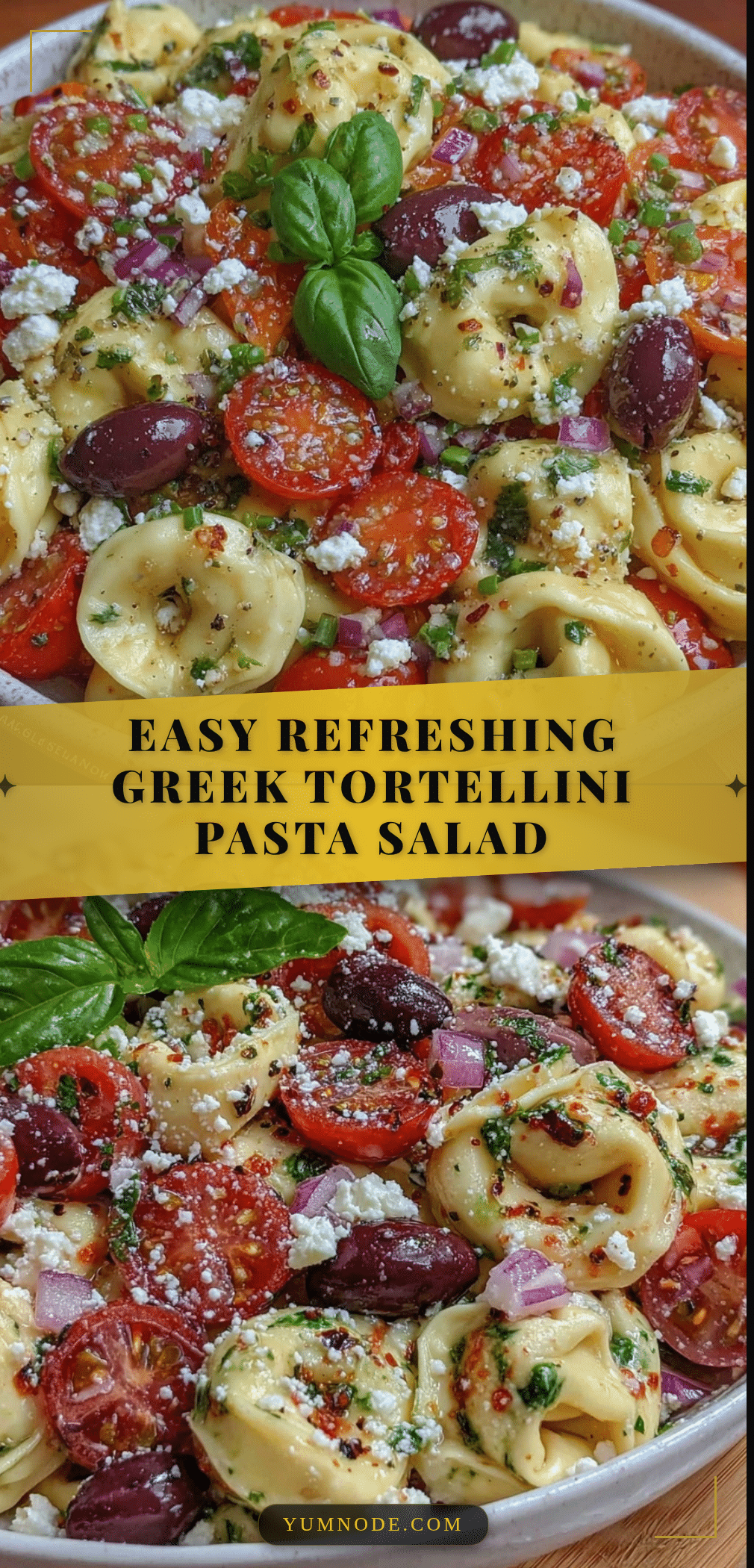 greek tortellini pasta salad recipe