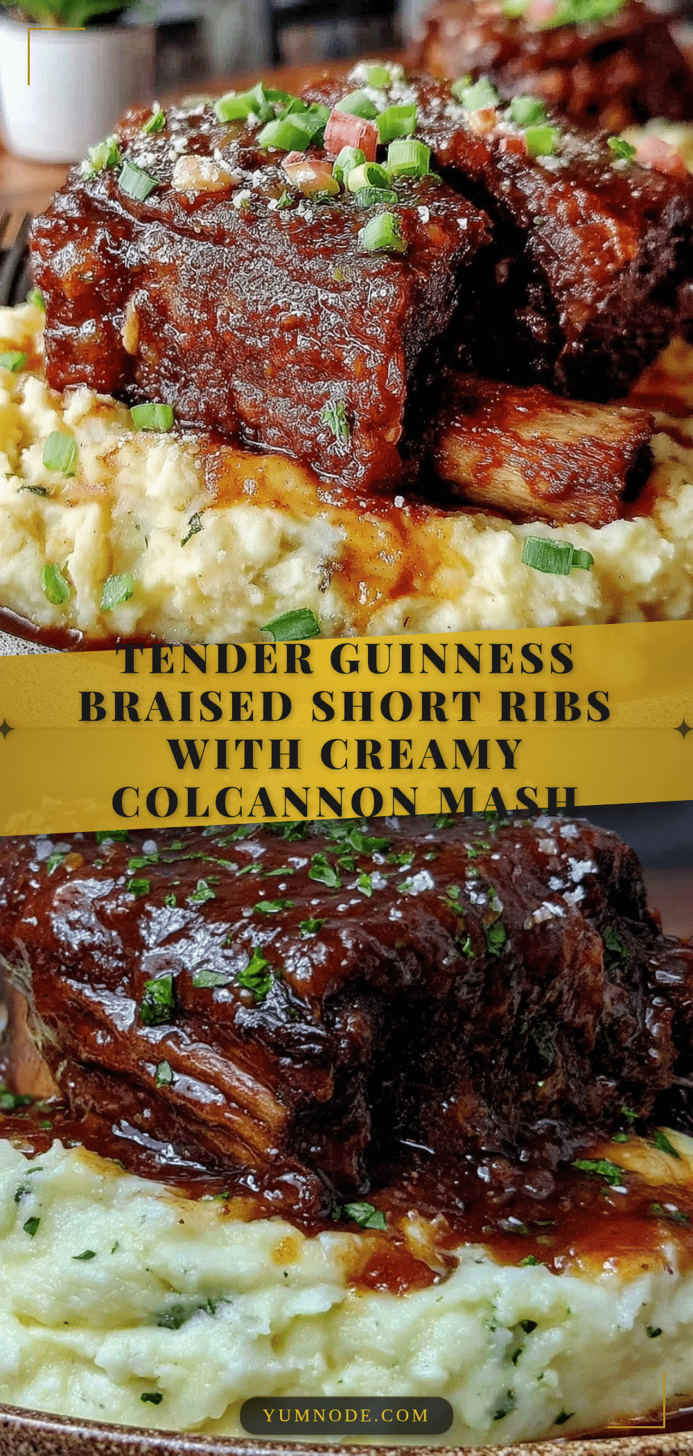 Guinness braised short ribs recipe