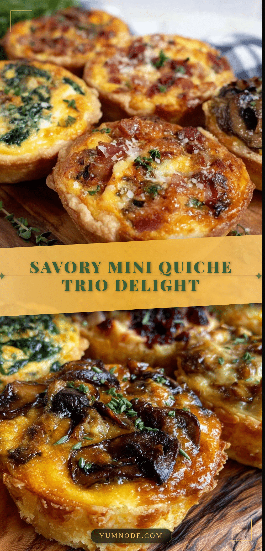 mini quiche trio recipe recipe
