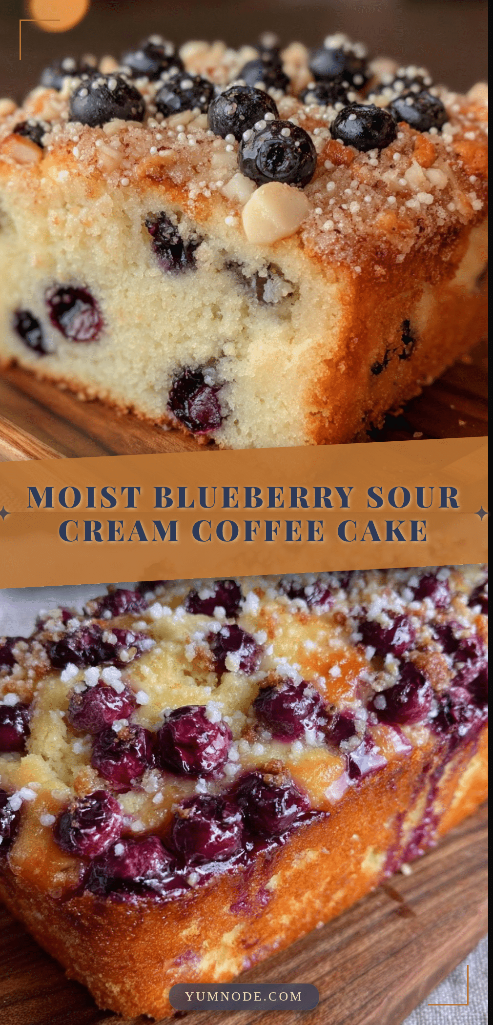 moist blueberry sour cream coffee cake recipe