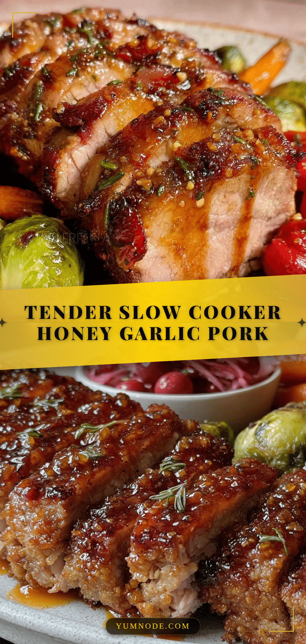 slow cooker honey garlic pork tenderloin recipe