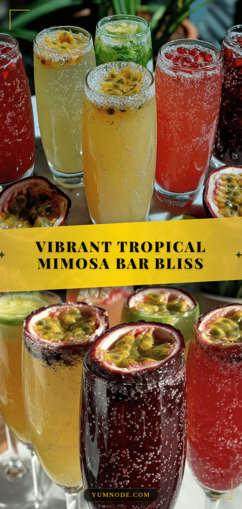tropical mimosa bar recipe