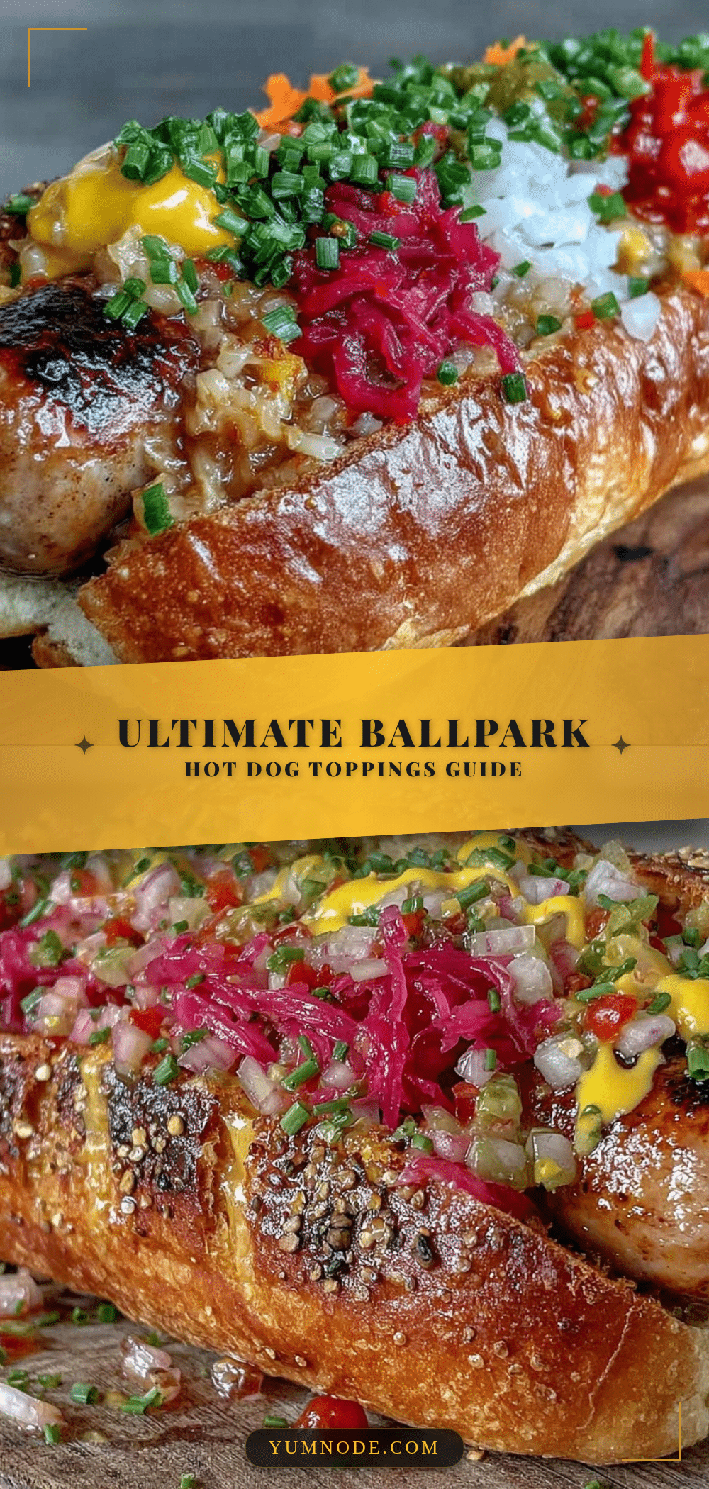 ballpark hot dog toppings guide recipe