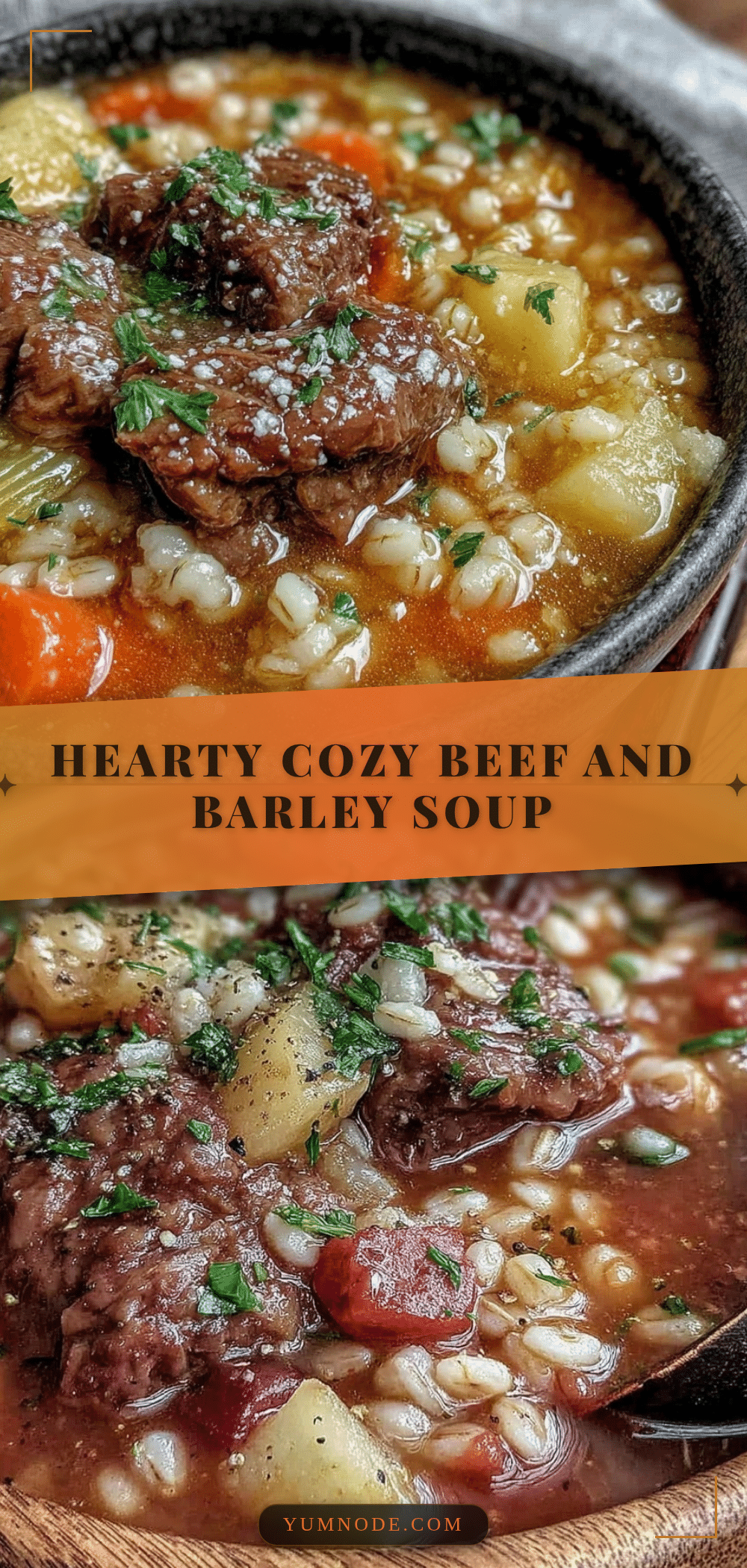 beef and barley soup recipe