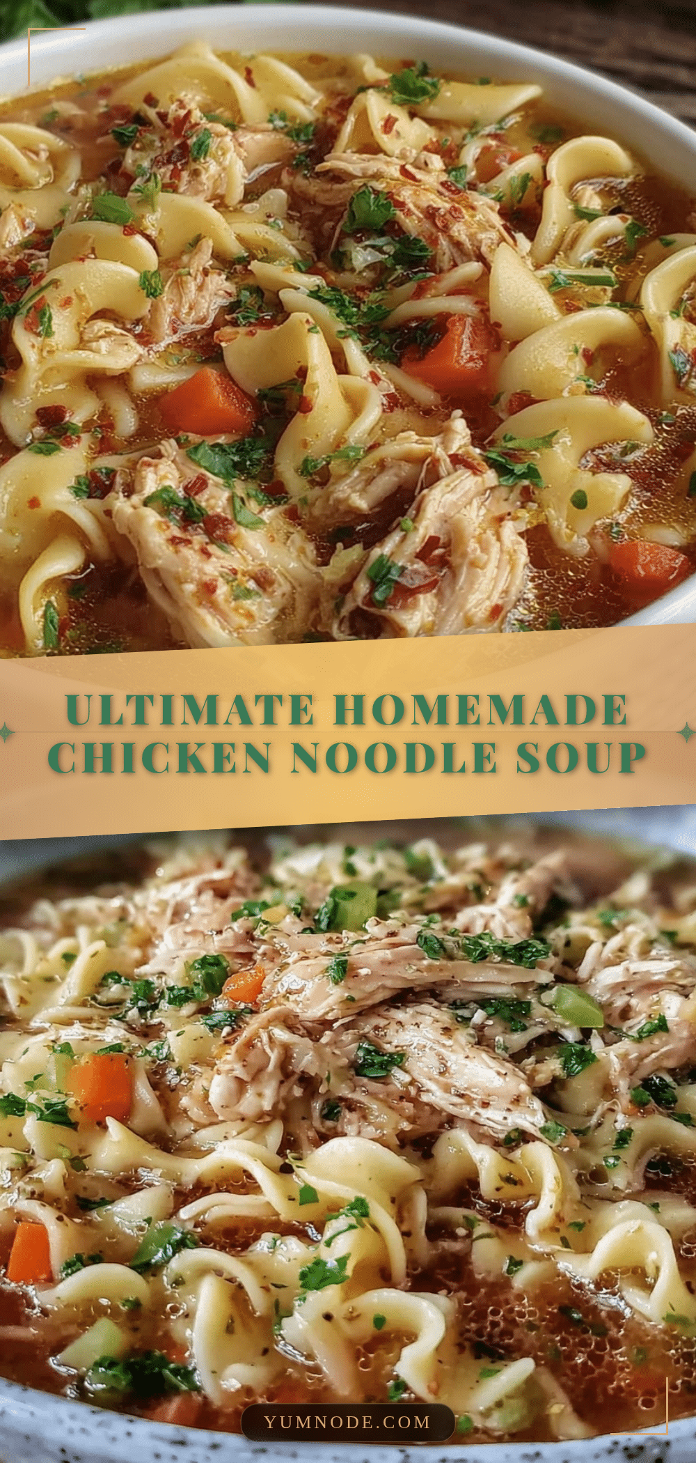 chicken noodle soup with homemade egg noodles recipe