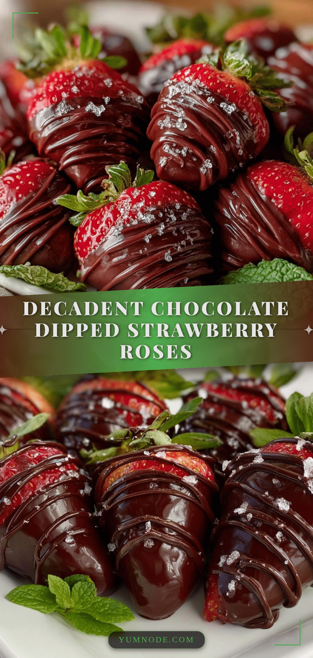 chocolate dipped strawberry roses recipe