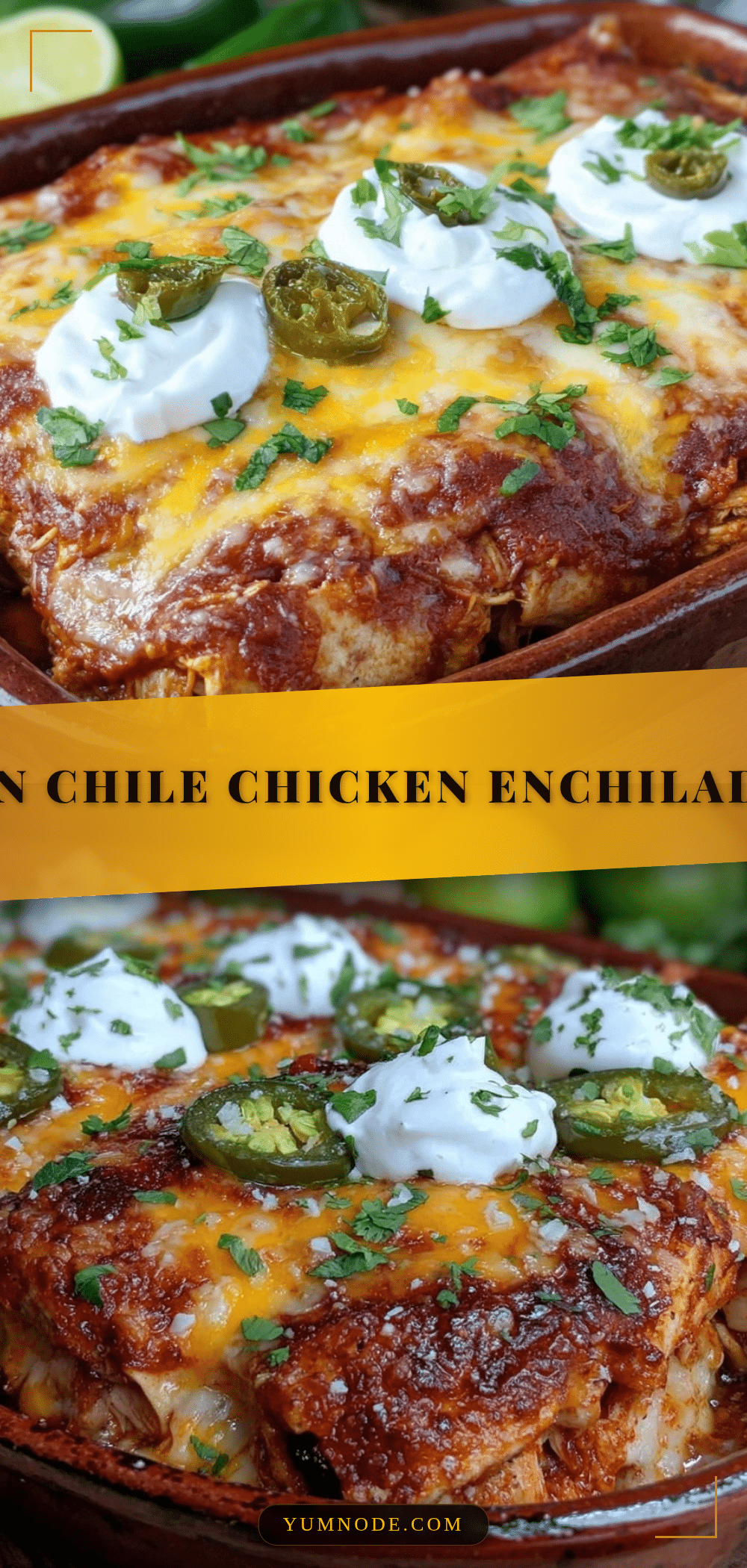 creamy chicken enchilada casserole recipe