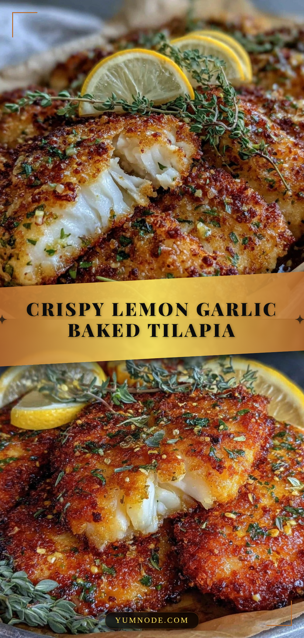 crispy baked tilapia recipe