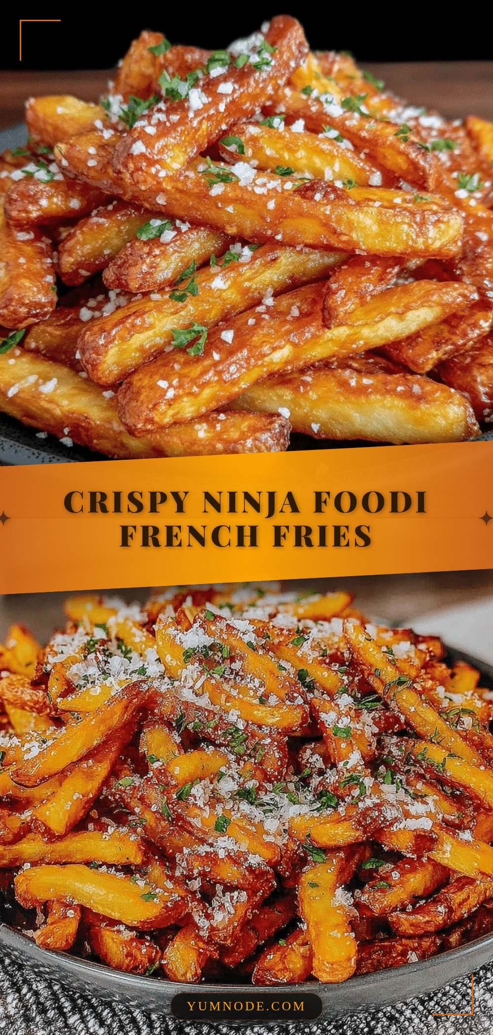 crispy Ninja Foodi French fries recipe