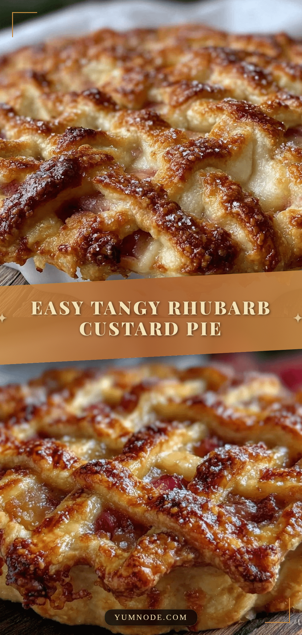 Easy Tangy Rhubarb Custard Pie recipe