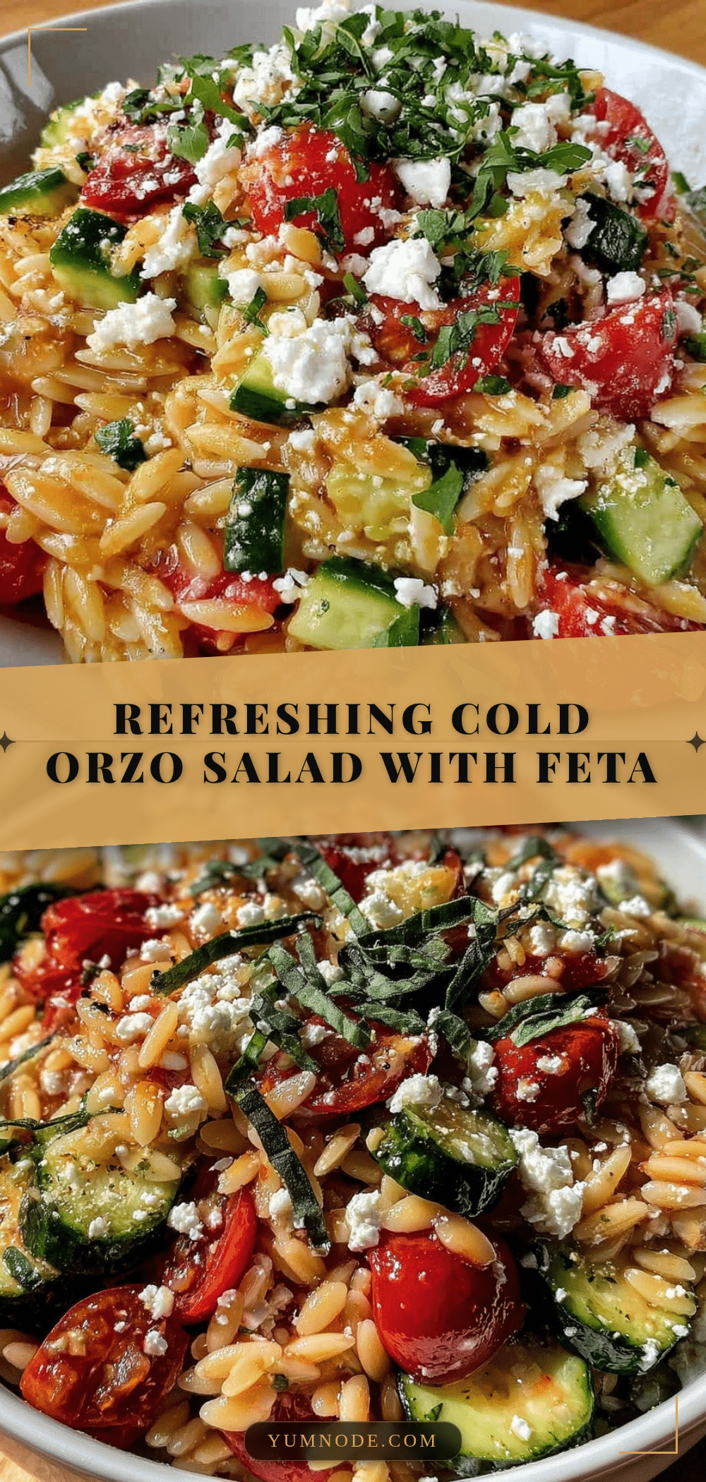 fresh cold orzo salad recipe