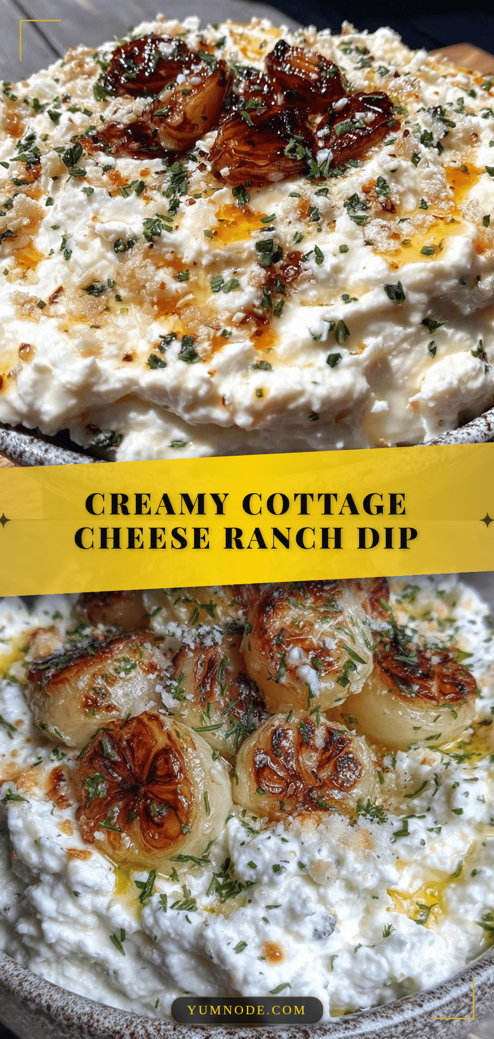fresh cottage cheese ranch dip recipe
