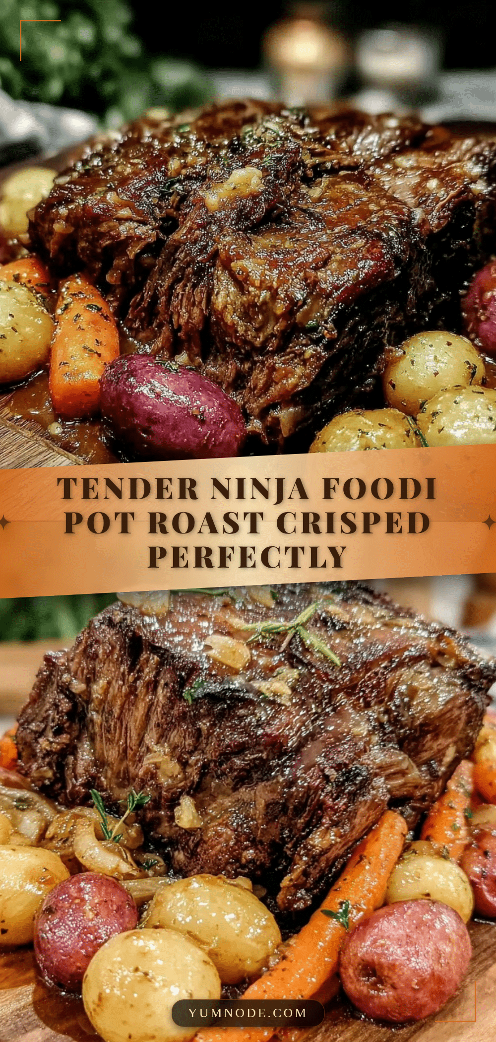 Ninja Foodi pot roast recipe