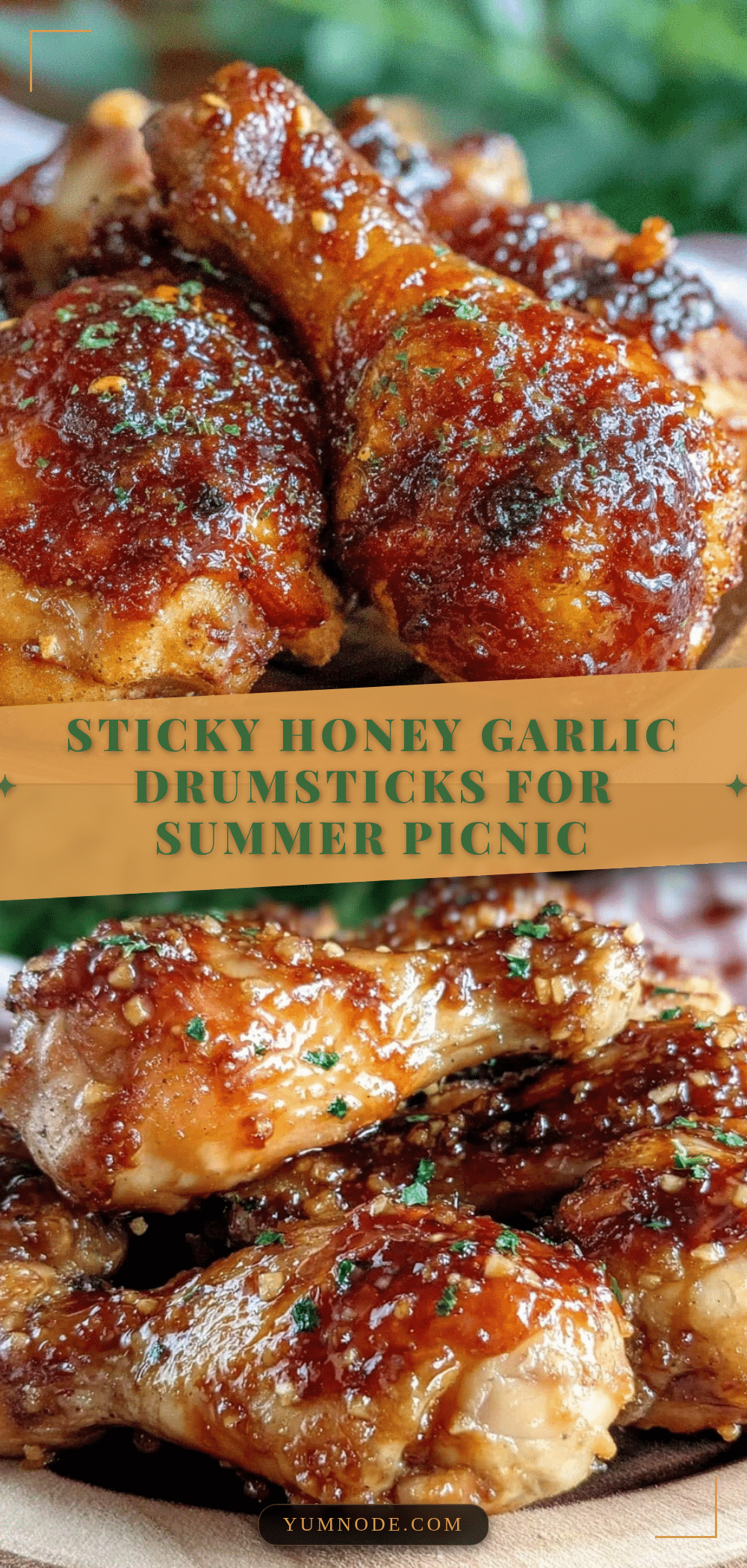 savory crockpot honey garlic drumsticks recipe