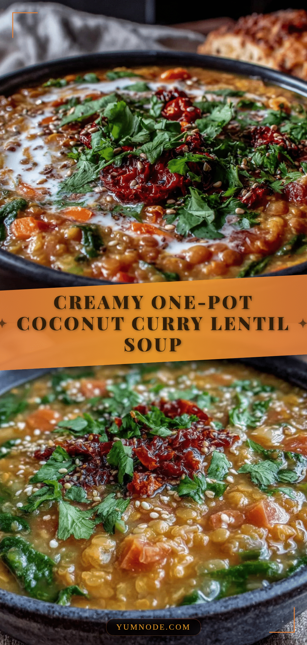 creamy one-pot coconut curry lentil soup recipe