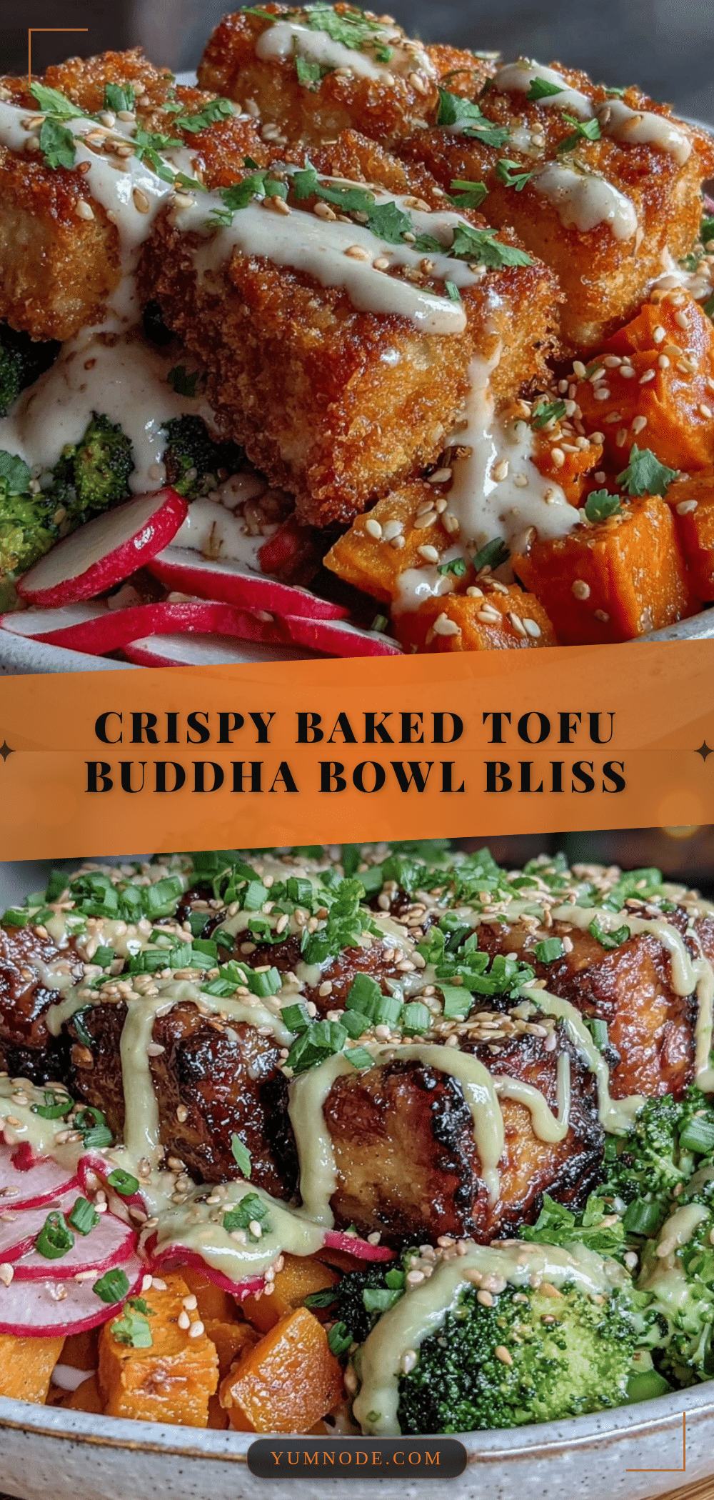crispy baked tofu buddha bowl recipe