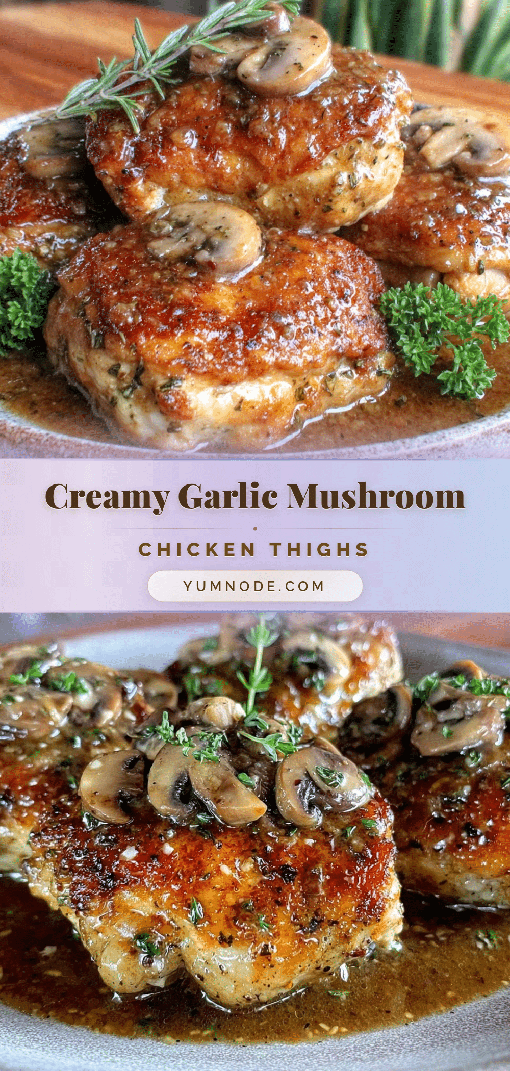 creamy garlic mushroom chicken thighs recipe