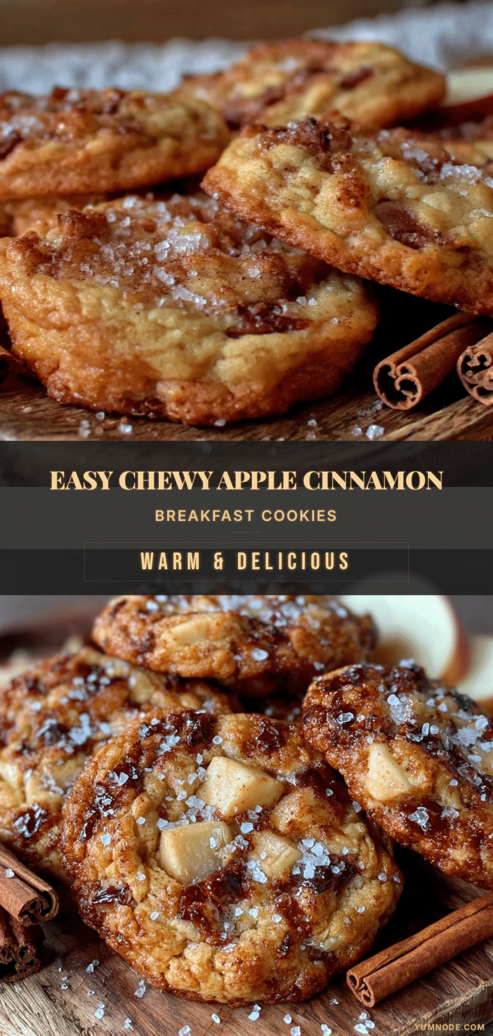 easy chewy apple cinnamon breakfast cookies recipe
