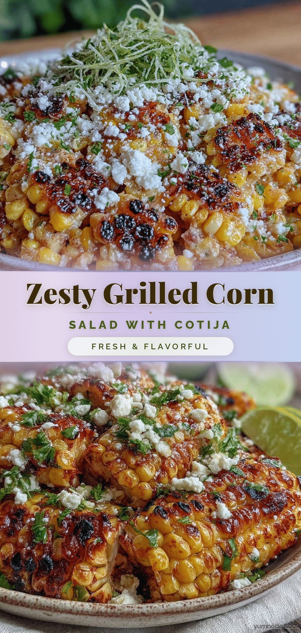 fresh grilled corn salad recipe