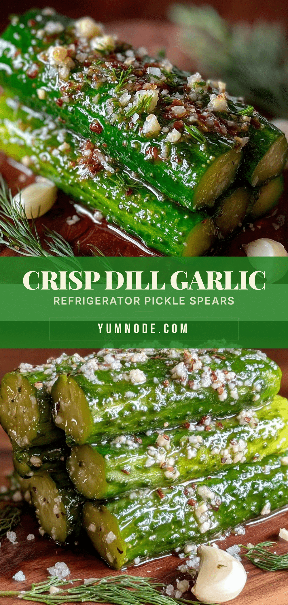 homemade dill garlic refrigerator pickle spears recipe