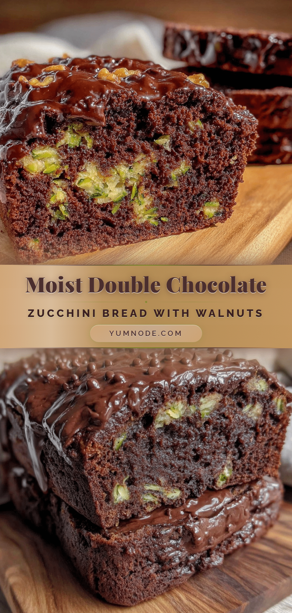 moist double chocolate zucchini bread recipe
