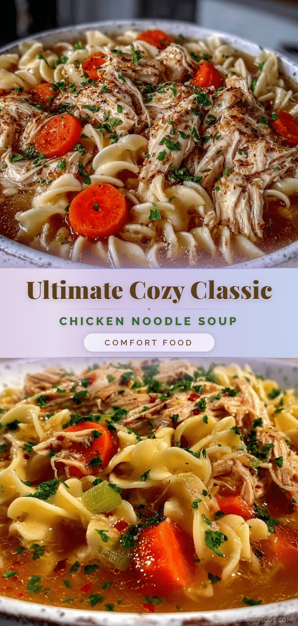 cozy classic chicken noodle soup from scratch recipe