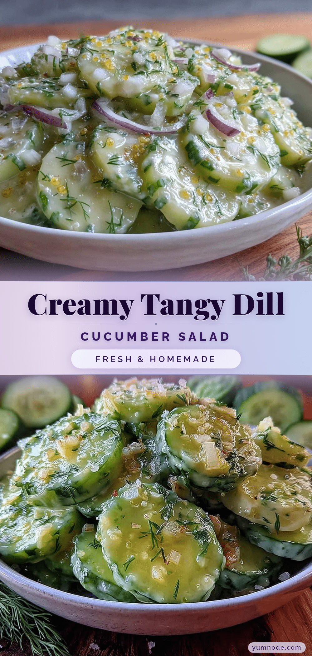 creamy dill cucumber salad recipe