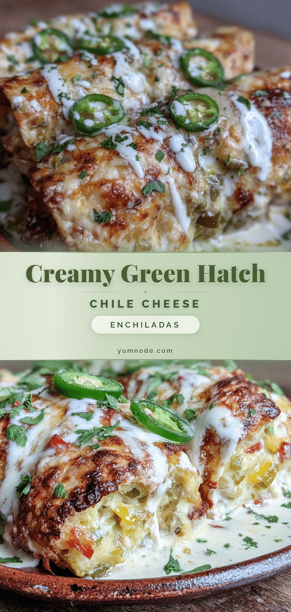 creamy green Hatch chile cheese enchiladas recipe