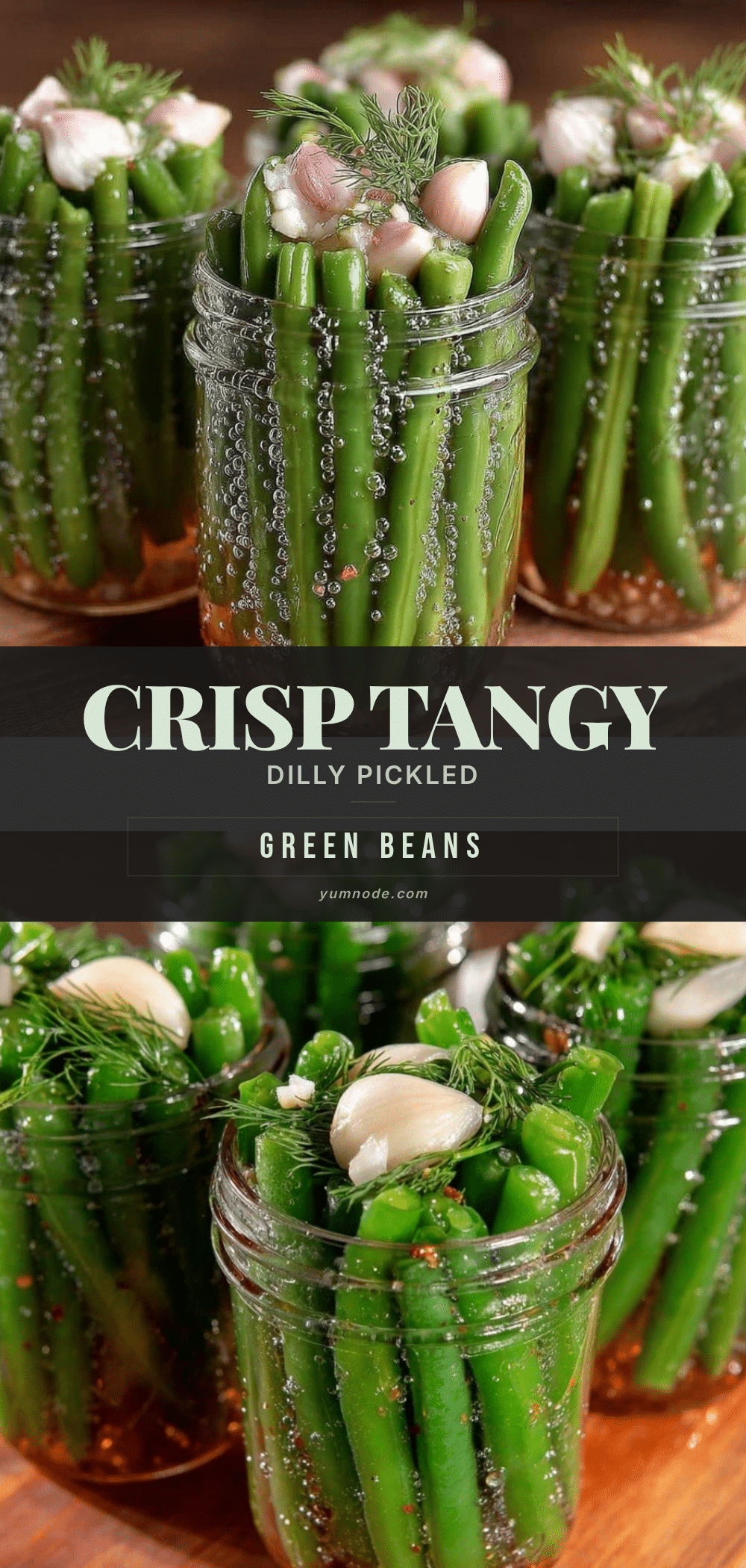 crisp dilly beans recipe recipe