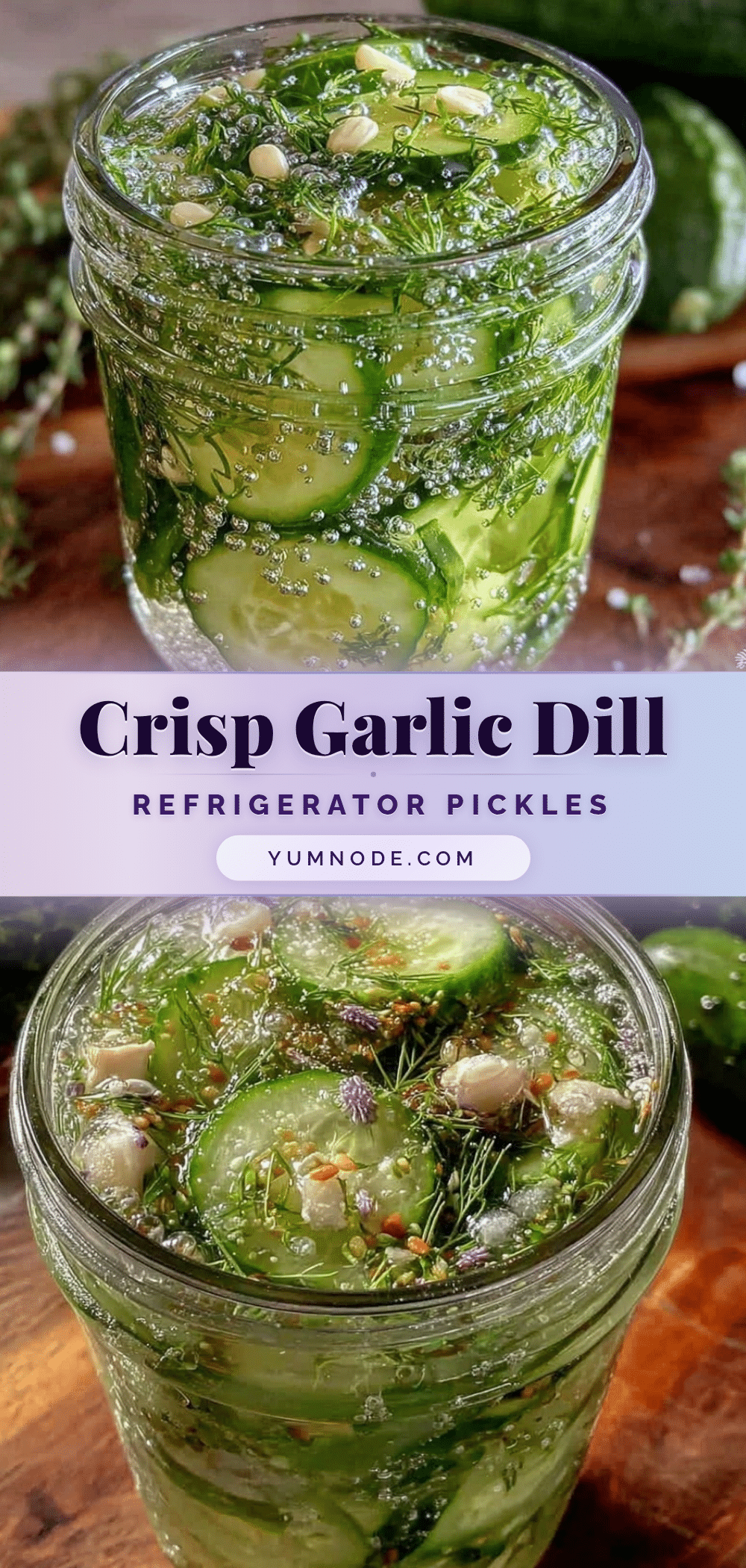 fresh garlic dill refrigerator pickles recipe