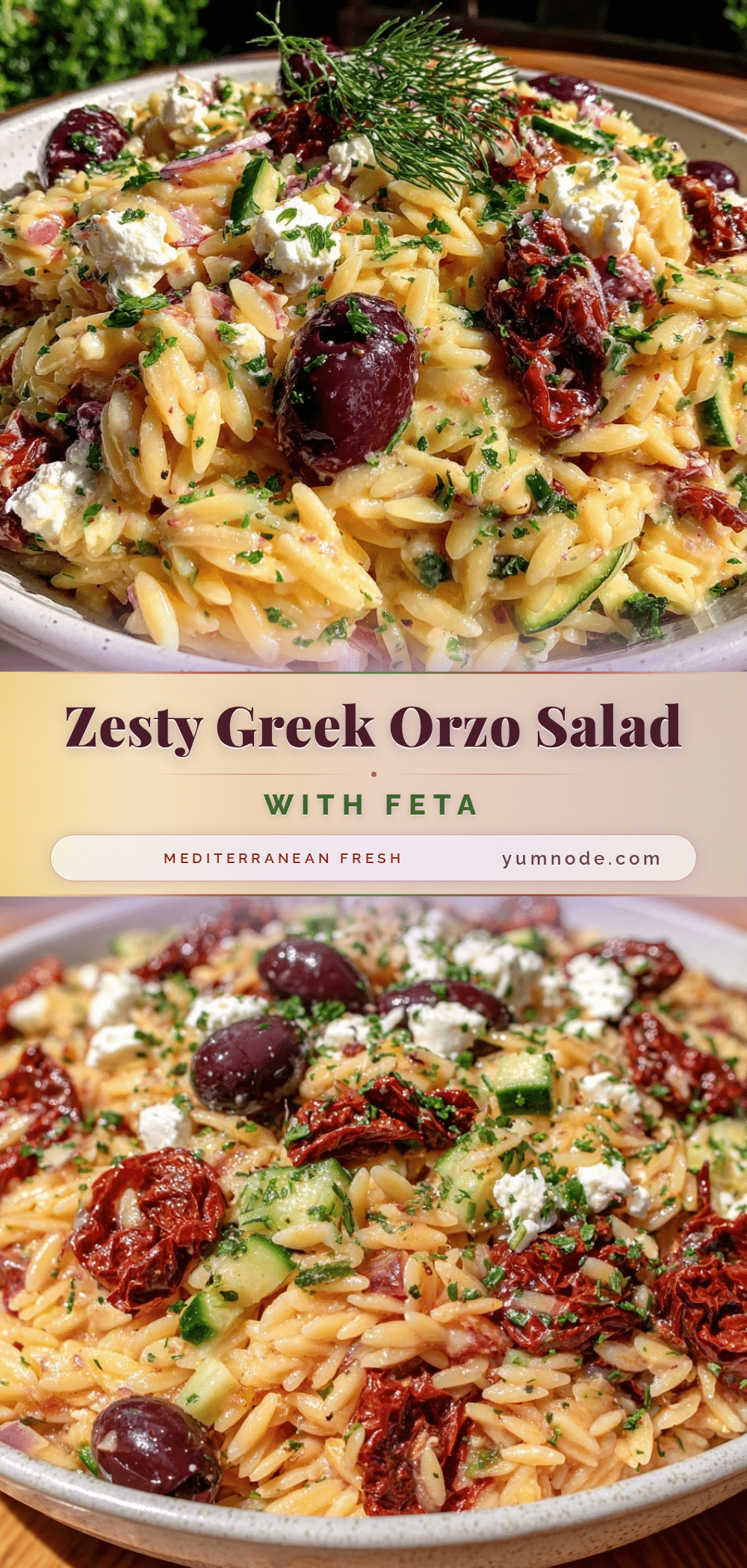 fresh greek orzo pasta salad recipe