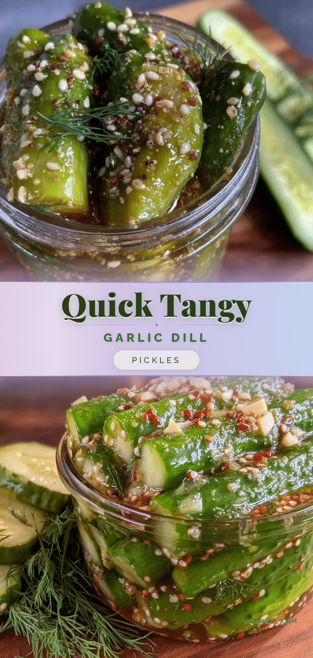 quick garlic dill refrigerator pickles recipe