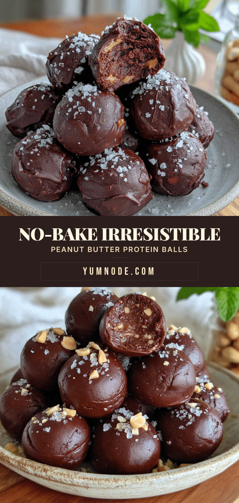 no-bake chocolate peanut butter protein balls recipe